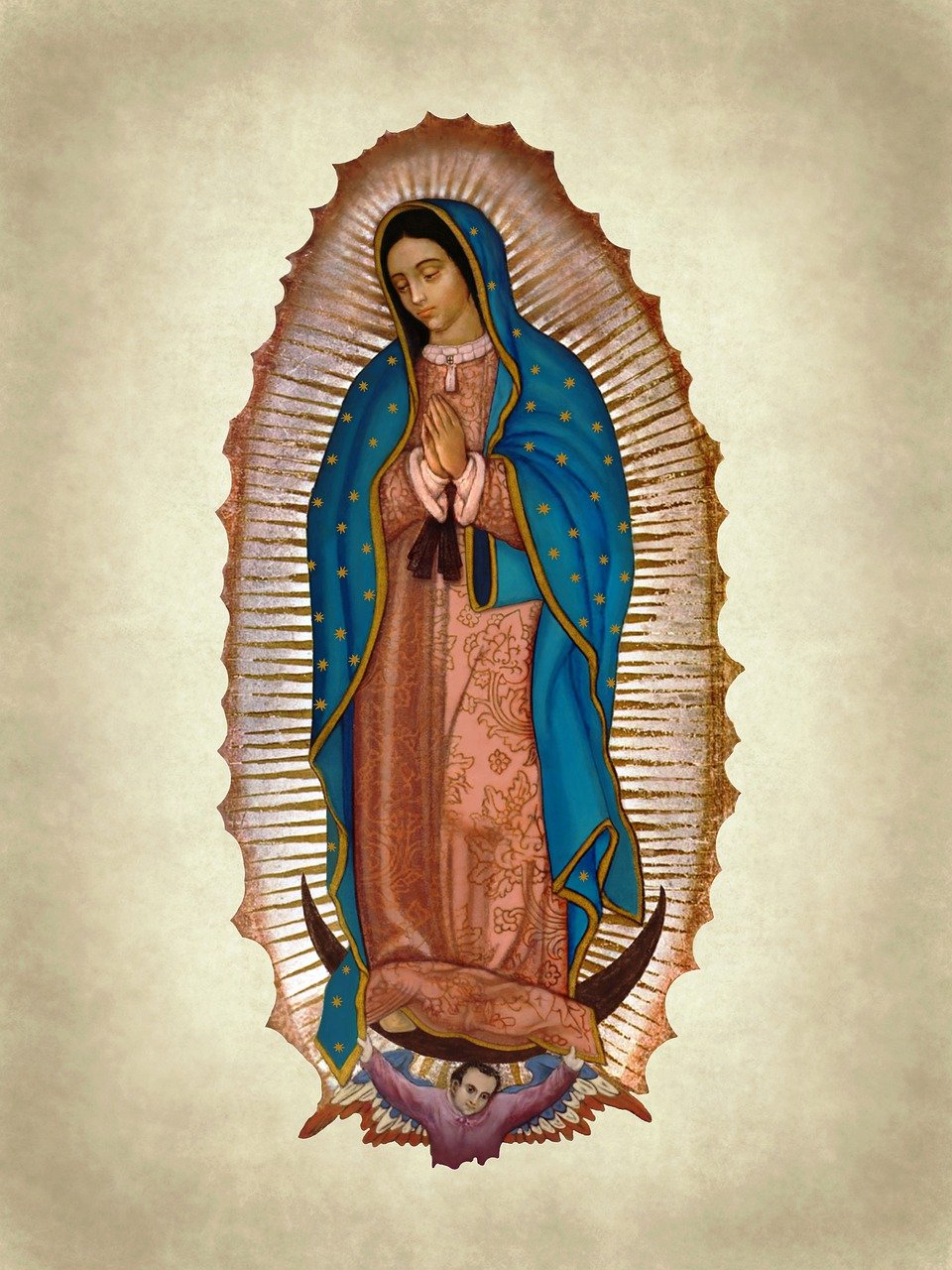 Guadalupe Project