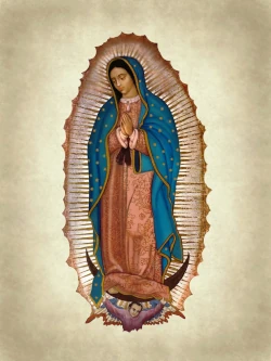 Guadalupe Project